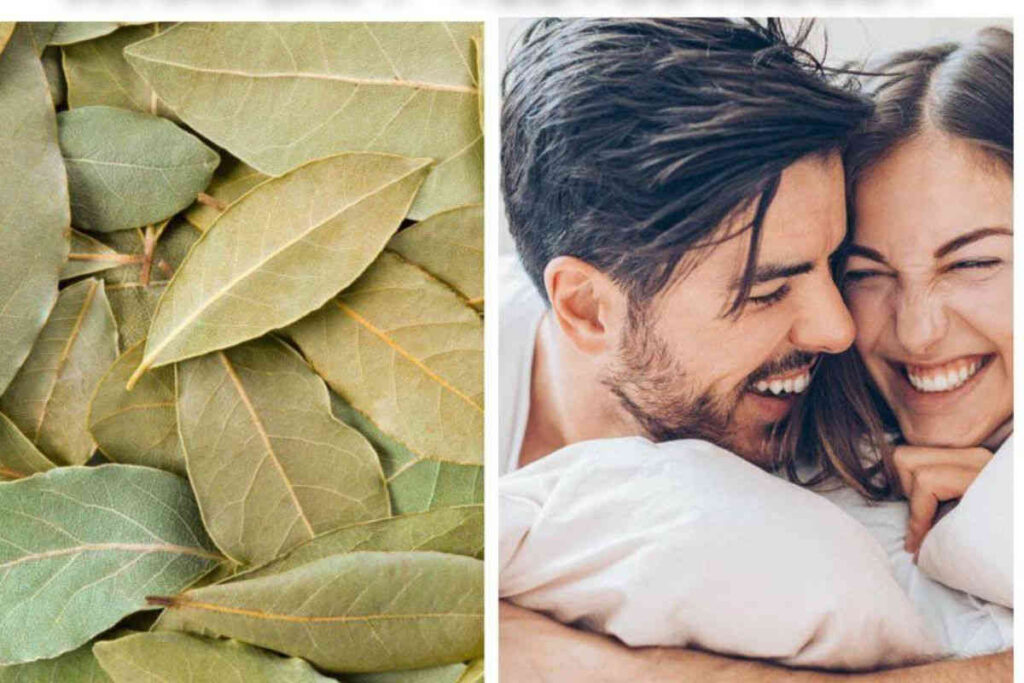 Pour résoudre tous vos problèmes d’amour, vous devez prendre les mesures qui s’imposent. C’est justement ce que vous propose le grand médium Gavi et le rituel d’amour avec les feuilles de laurier. Que ce soit pour trouver l’amour ou renforcer vos liens, il se révèle efficace.